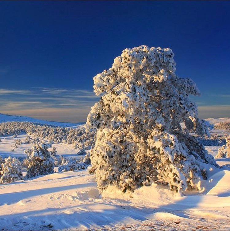 Зимний Крым