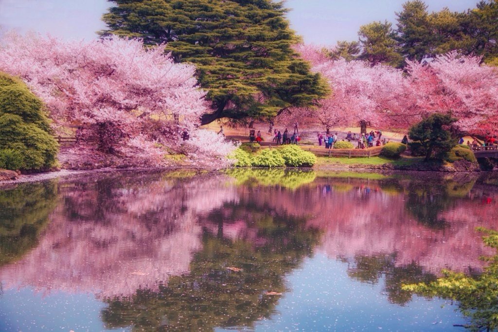 Токио, Япония