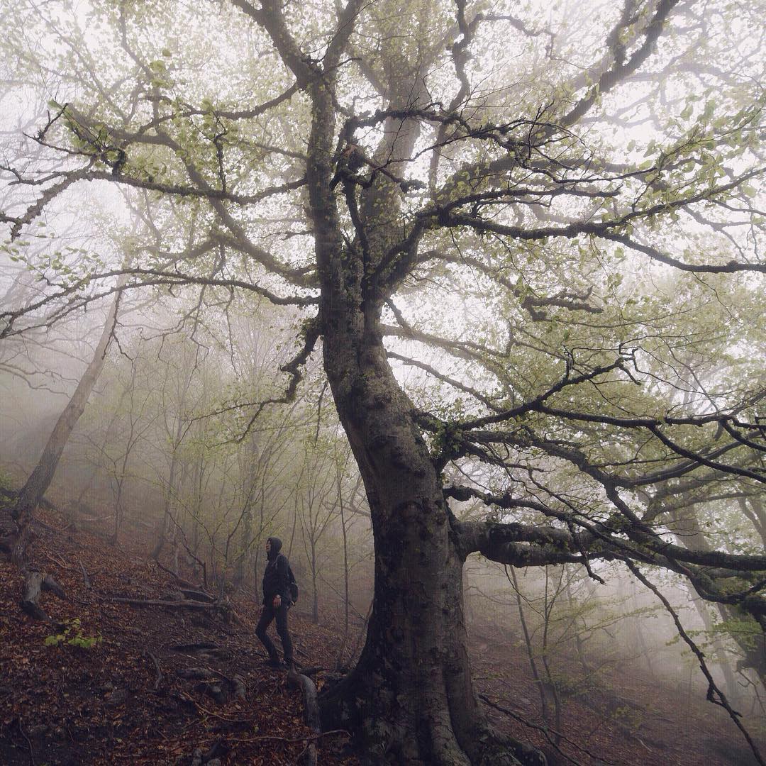 The Crimea is beautiful