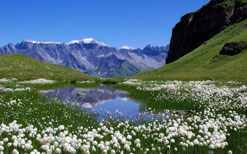 Альпийская долина, Швейцария