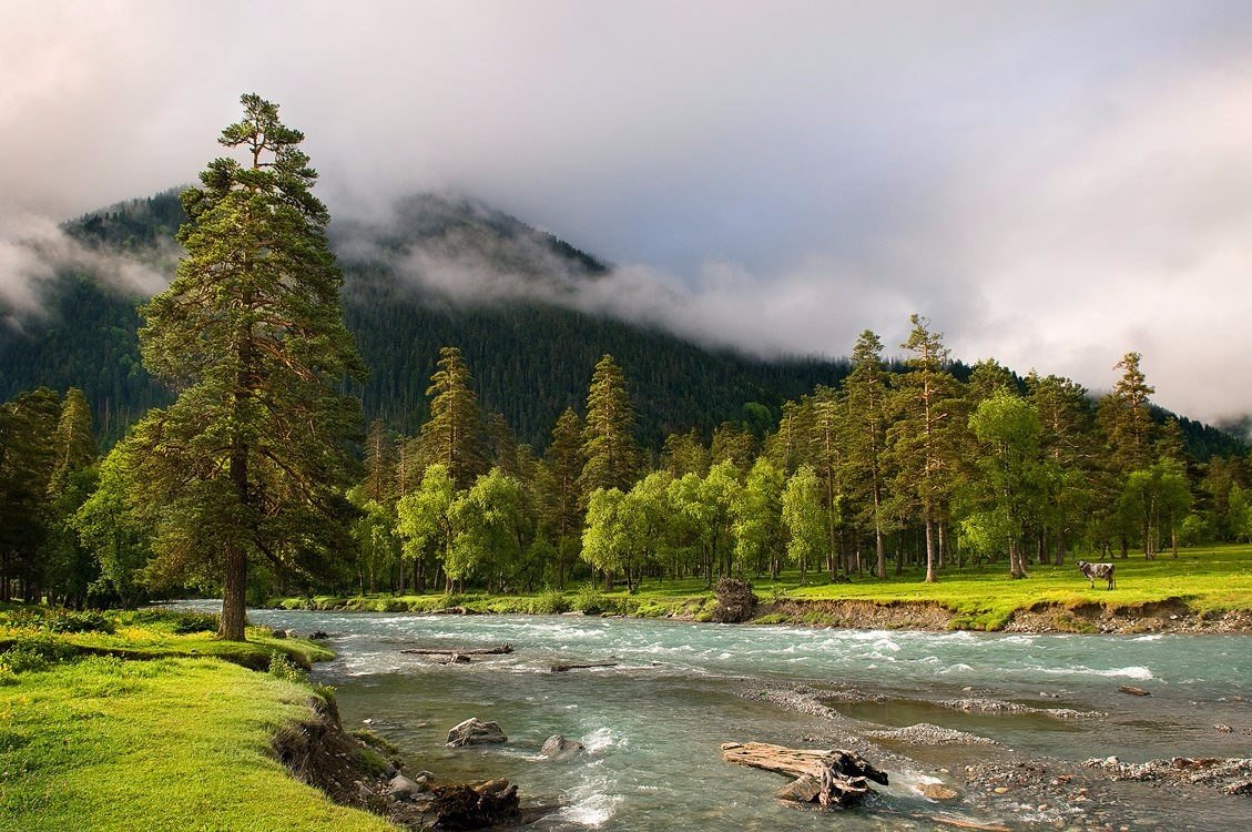 Заповедная природа. Река Псыш.