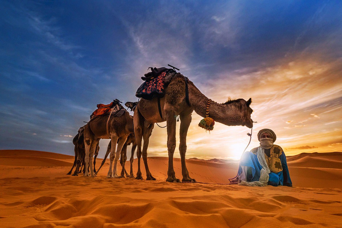 Северная Африка в красках  - 7