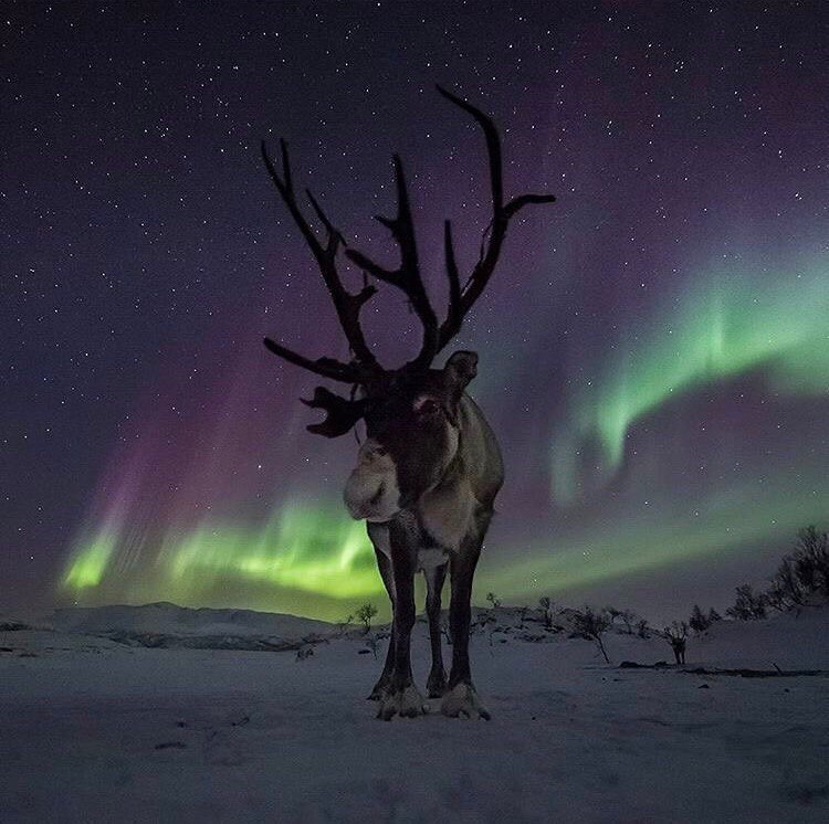 Хозяин Якутии
