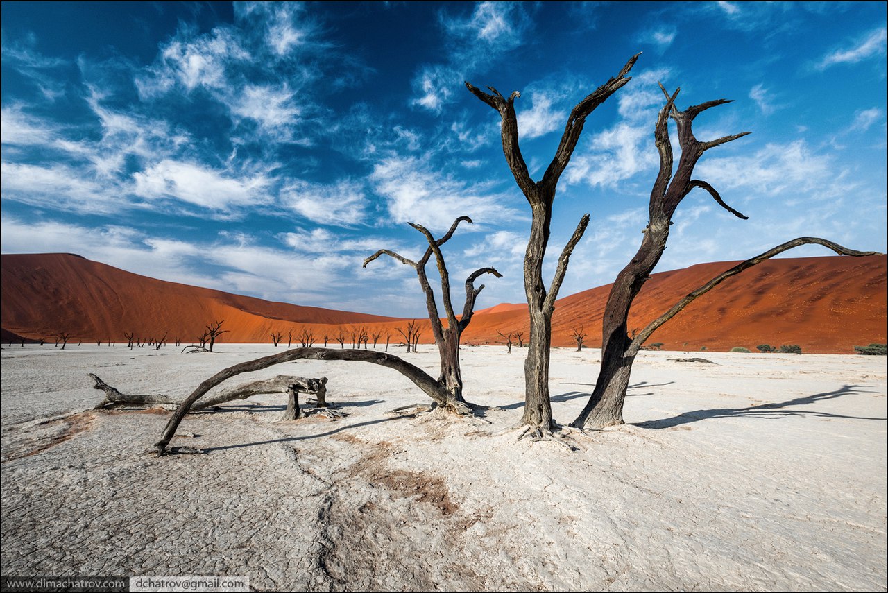 Потрясающие фотографии природы Намибии нашего сотечественника путешественника и фотографа Дмитрия Шатрова. <br><br>Уже 4 и 5 февраля Дмитрий проведет два мастер-класса в Москве по съемке природы в путешествиях и послед��ющей обработке материала. <br><br>З