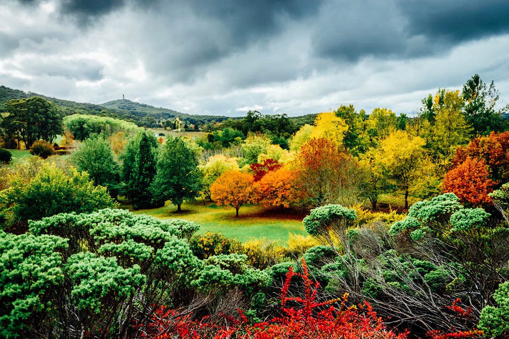 Австралия - 8