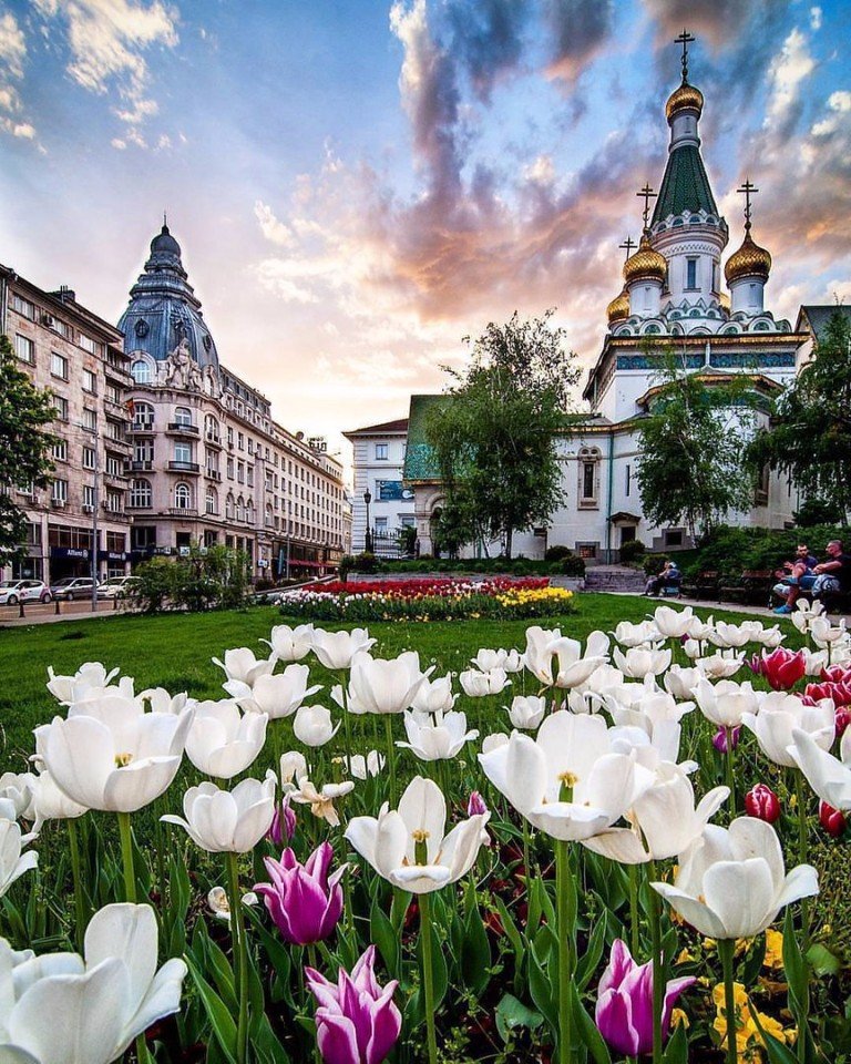 Цветочный ковер.<br><br>София, Болгария