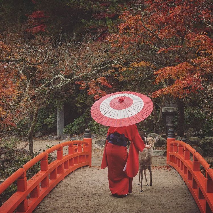 Путешествие по Японии с бамбуковым зонтиком - 5