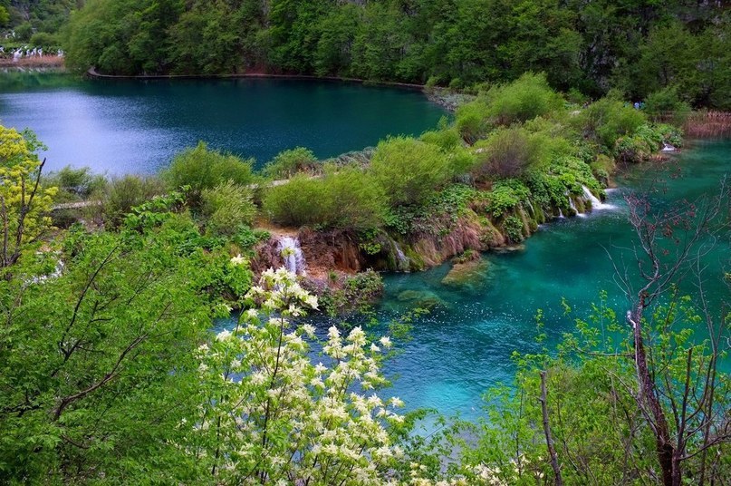 Плитвицкие озера, Хорватия. - 6