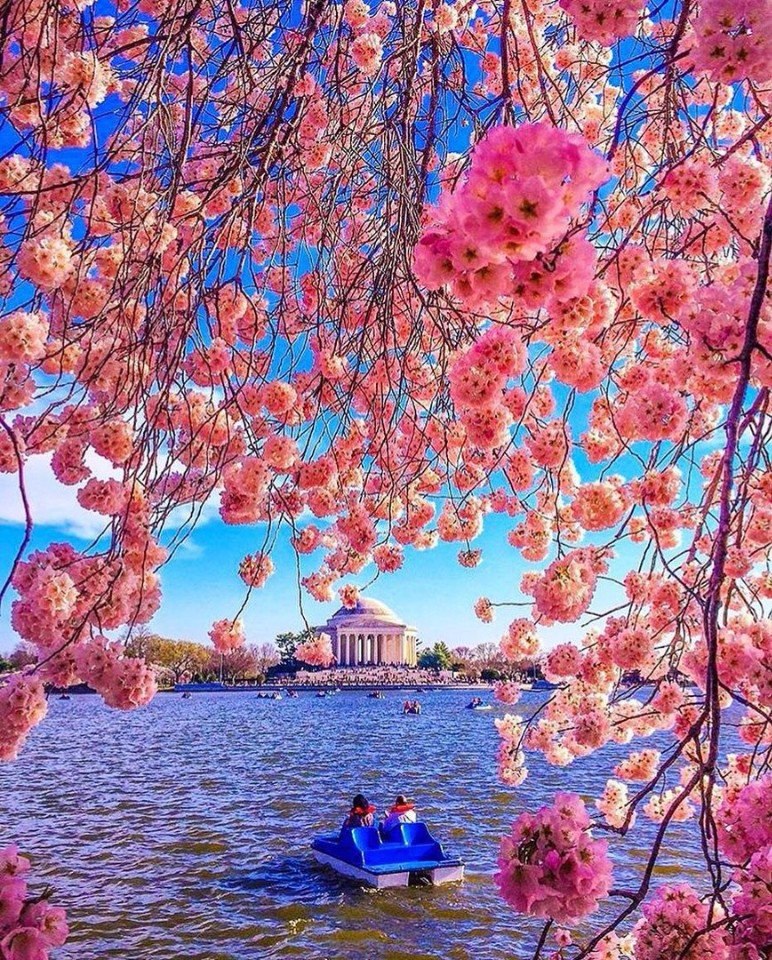 Вашингтон, Америка