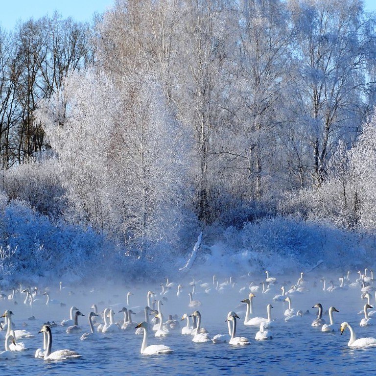 Лебединое озеро. Алтай.<br><br>Вокруг Света в Instagram @roundtheworld2