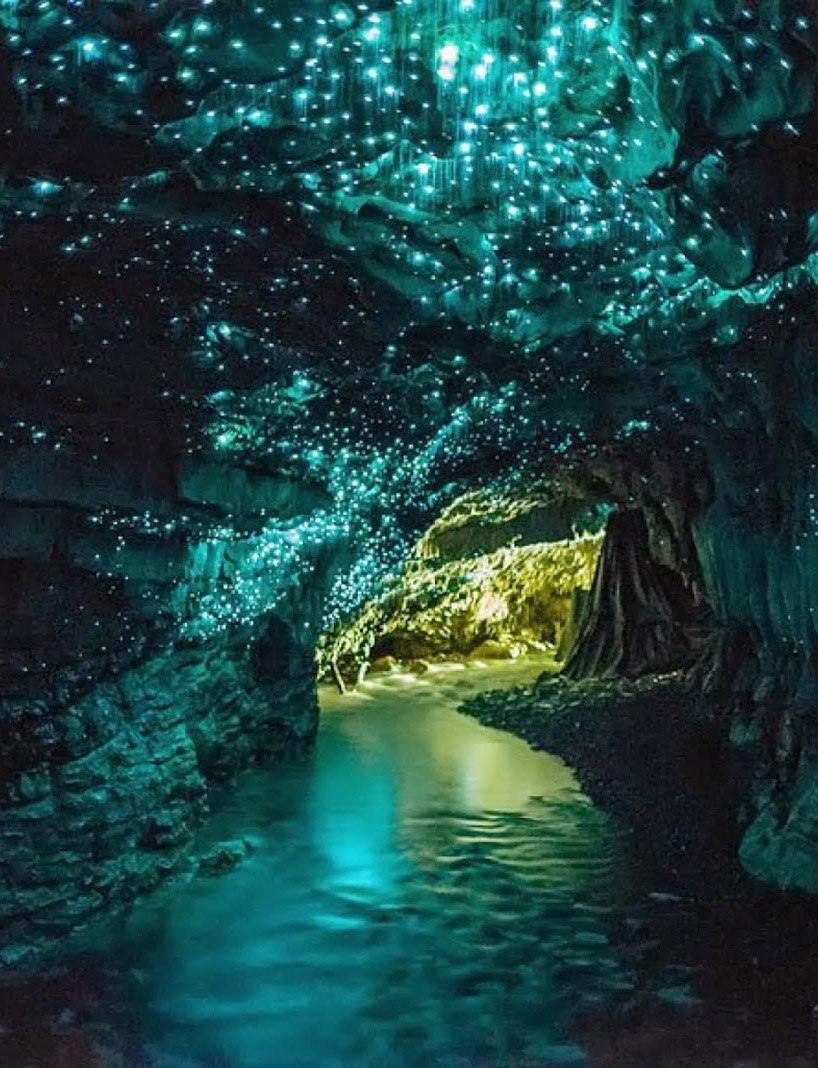Пещера со светлячками в Новой Зеландии.
