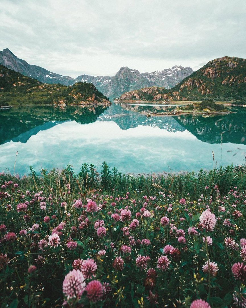 Фото, от которого веет свежестью. Лофотенские острова, Норвегия.