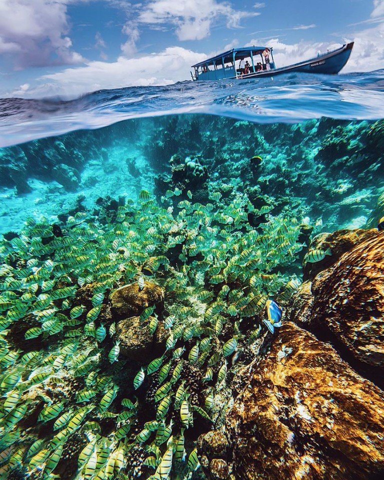 Утро на Мальдивах 