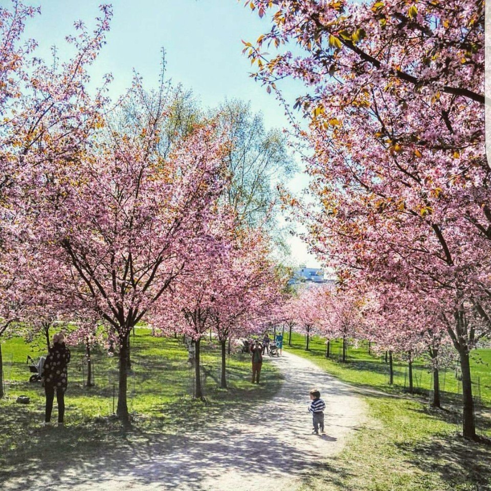 Хельсинки, Финляндия