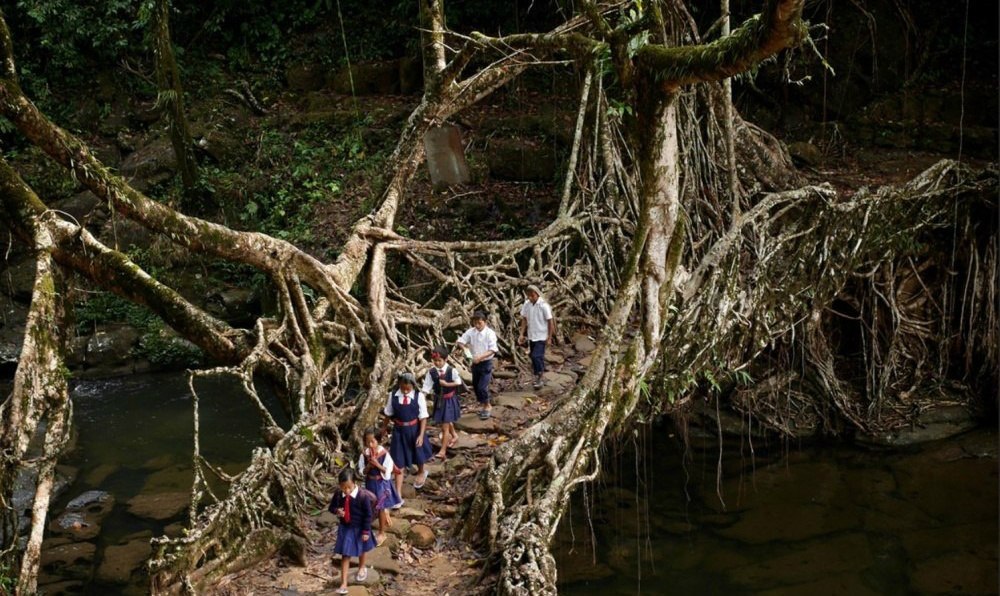 I want to go to India! - 7