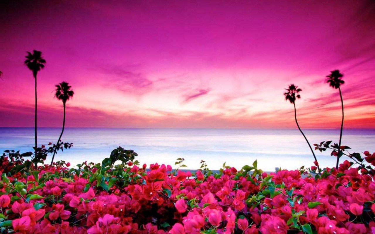 Сан-Клементе, Калифорния