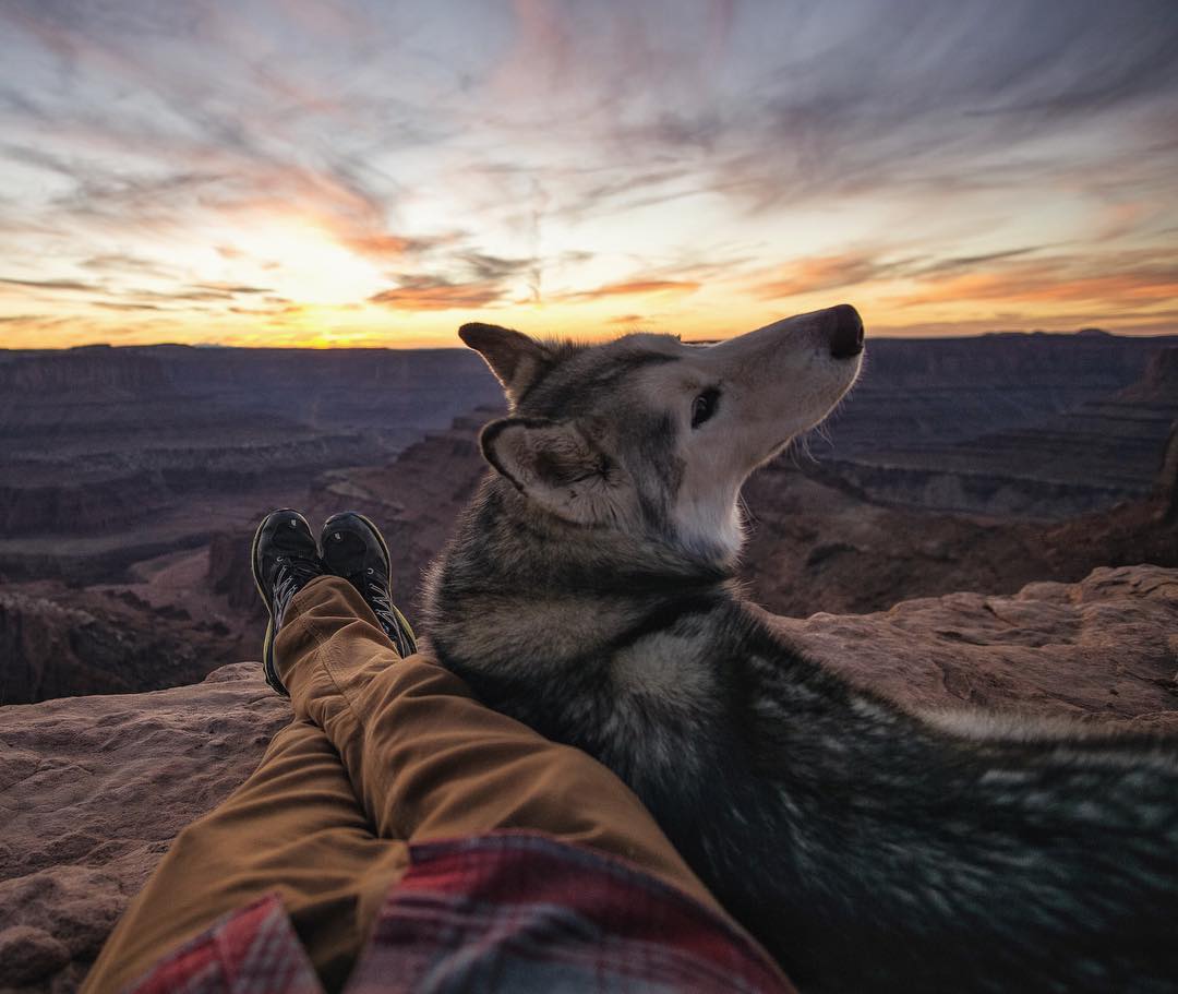 Фотограф и его собака Локи, с которой он путешествует. - 5
