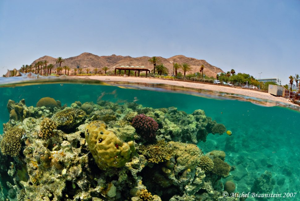 10 фотографий на грани двух миров - 5