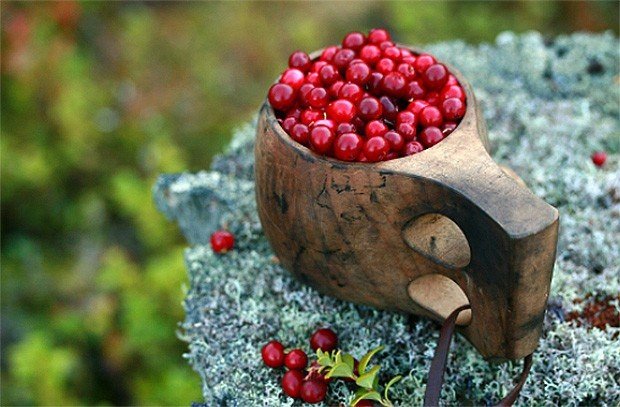 Дары Карелии - 7