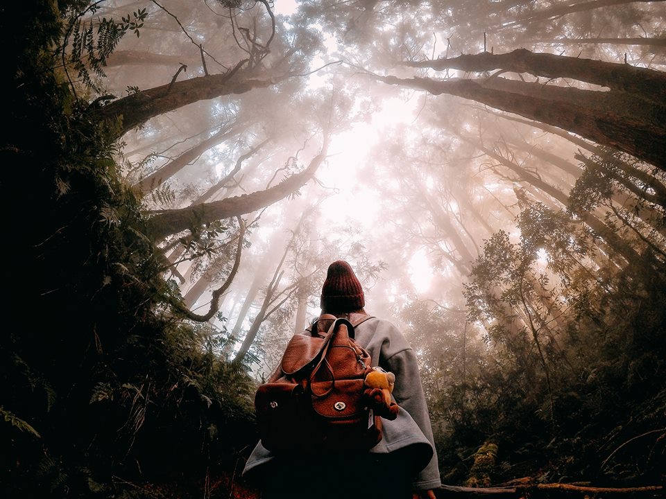 Ищу спонсора для своих путешествий - 6