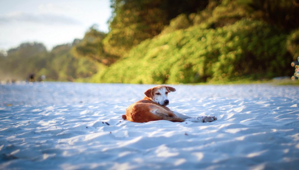 Загадочная Индия - 5