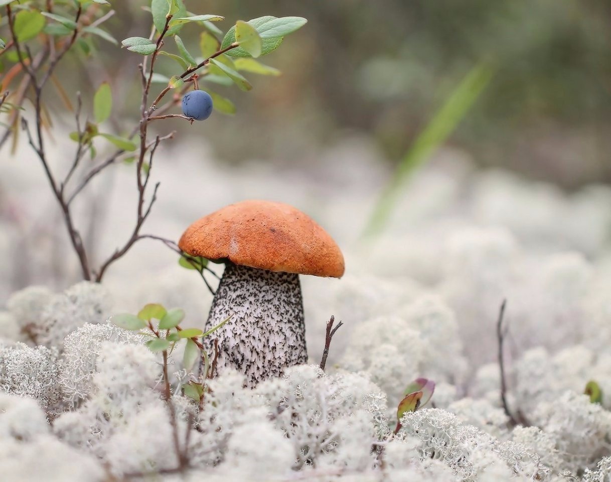 Республика Якутия