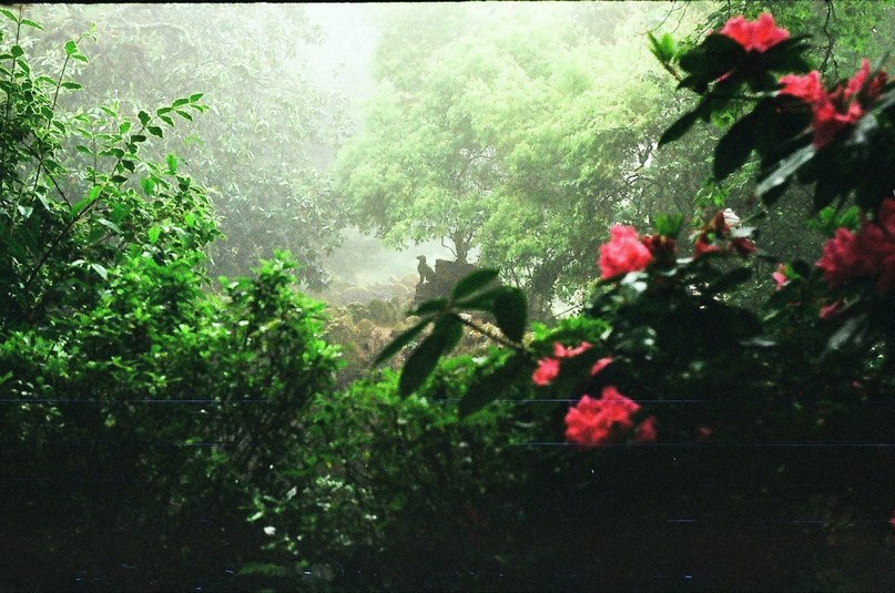 Синтра, Португалия - 6