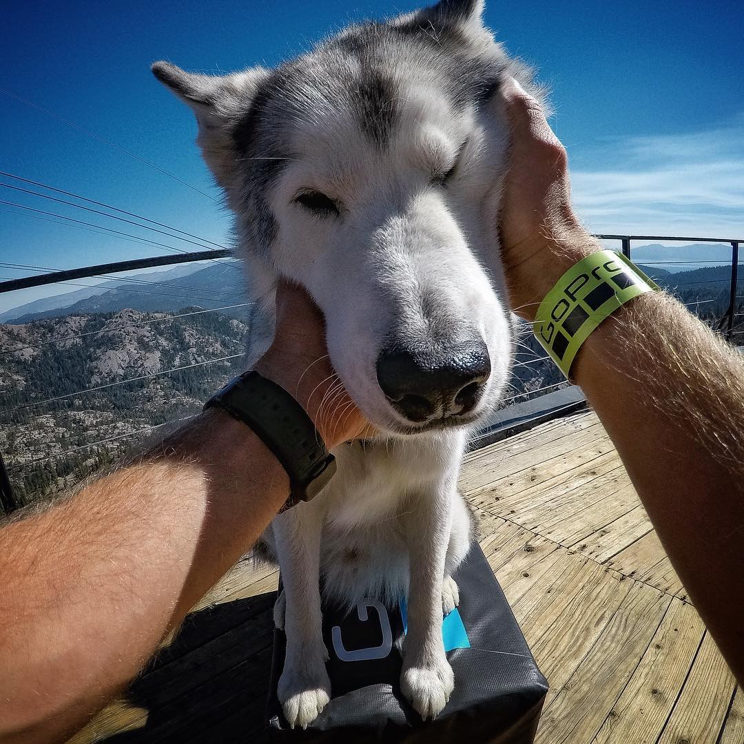 Фотограф и его собака Локи, с которой он путешествует. - 8