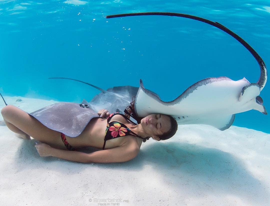 Фото дня! <br>Дайвинг со скатами в Французской Полинезии