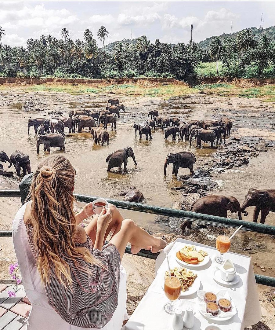 Утро в Шри-Ланке. <br><br>Фото: ohhcouture