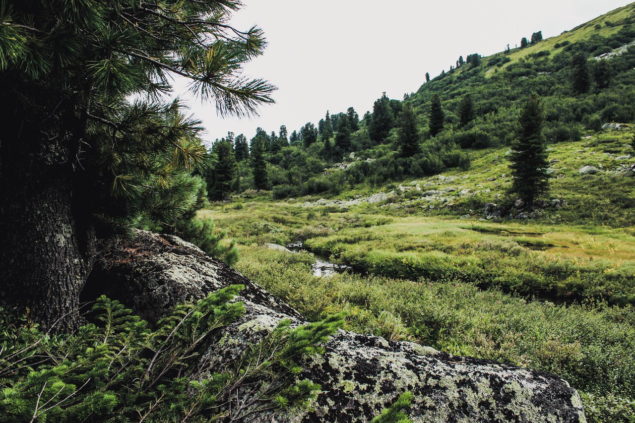 Ергаки, Красноярский край - 7