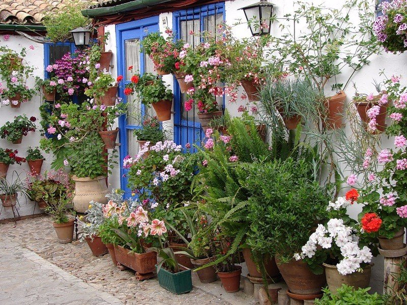 Испания утопает в цветах - 8