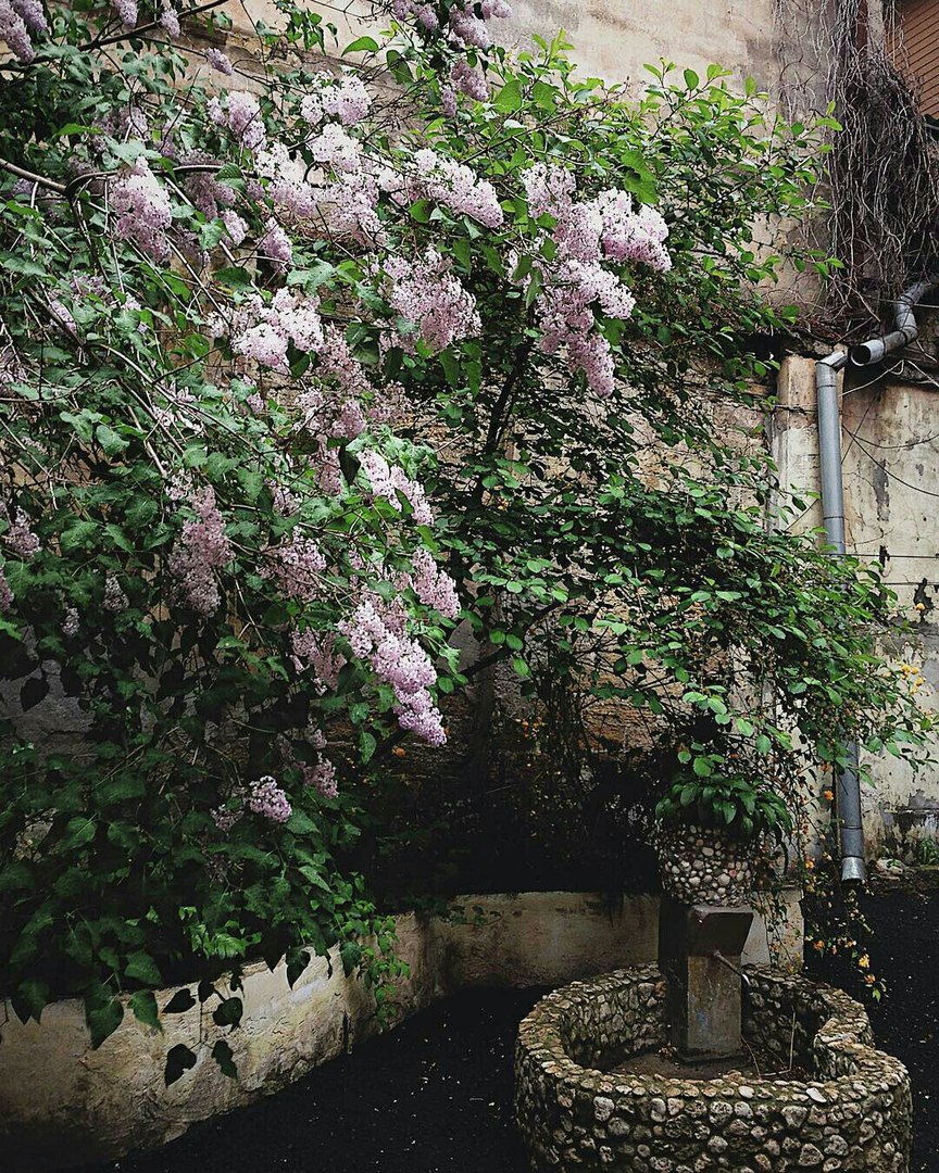 Одесса, Украина - 6