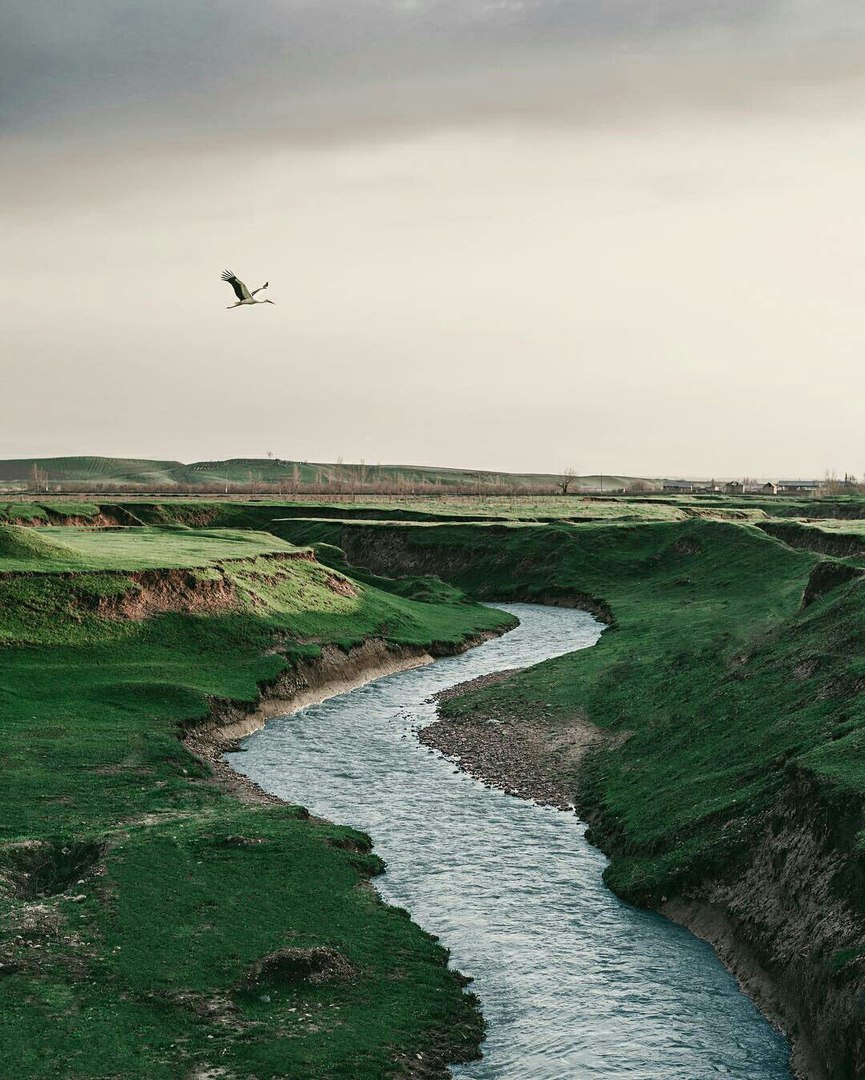 Узбекистан - 7