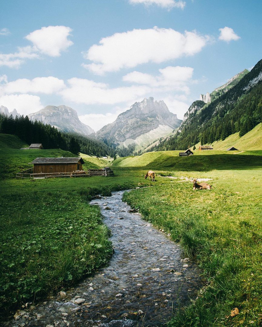 Швейцария — это любовь. - 7