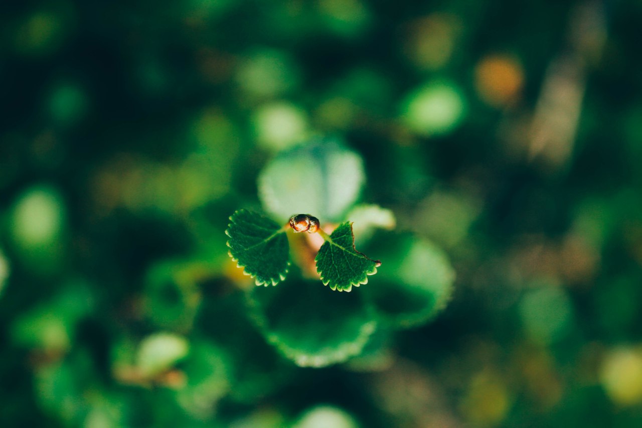 Ергаки, Красноярский край - 5