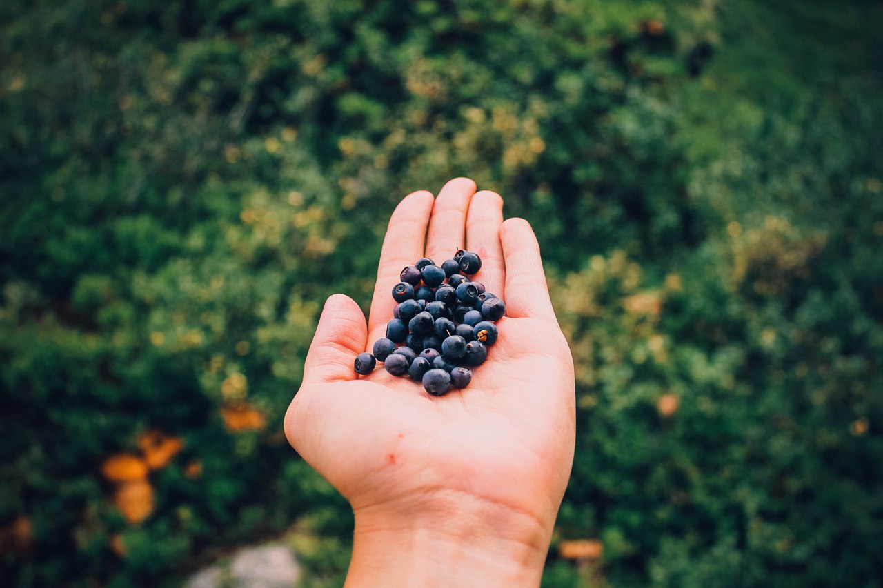 Ергаки, Красноярский край