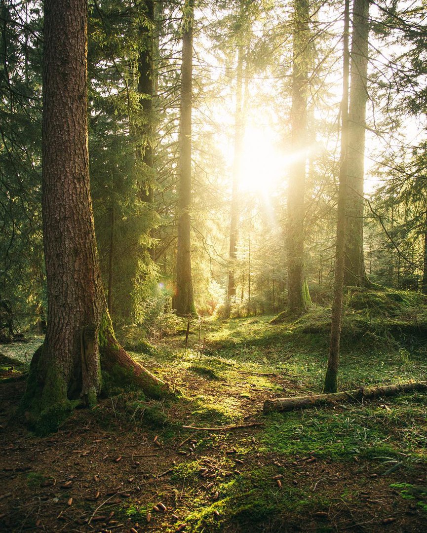 Швейцария — это любовь. - 6