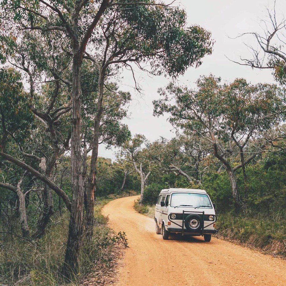 Настроение: бросить всё и уехать в Австралию - 5