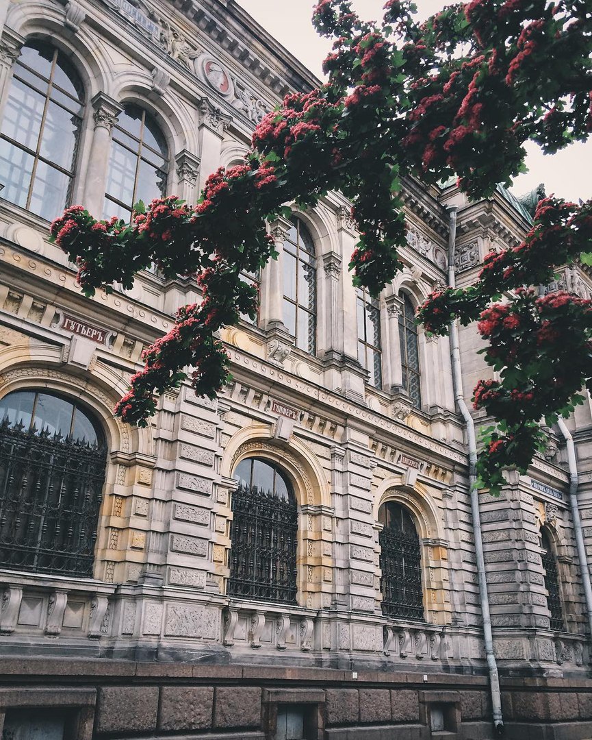 Санкт-Петербург - 8