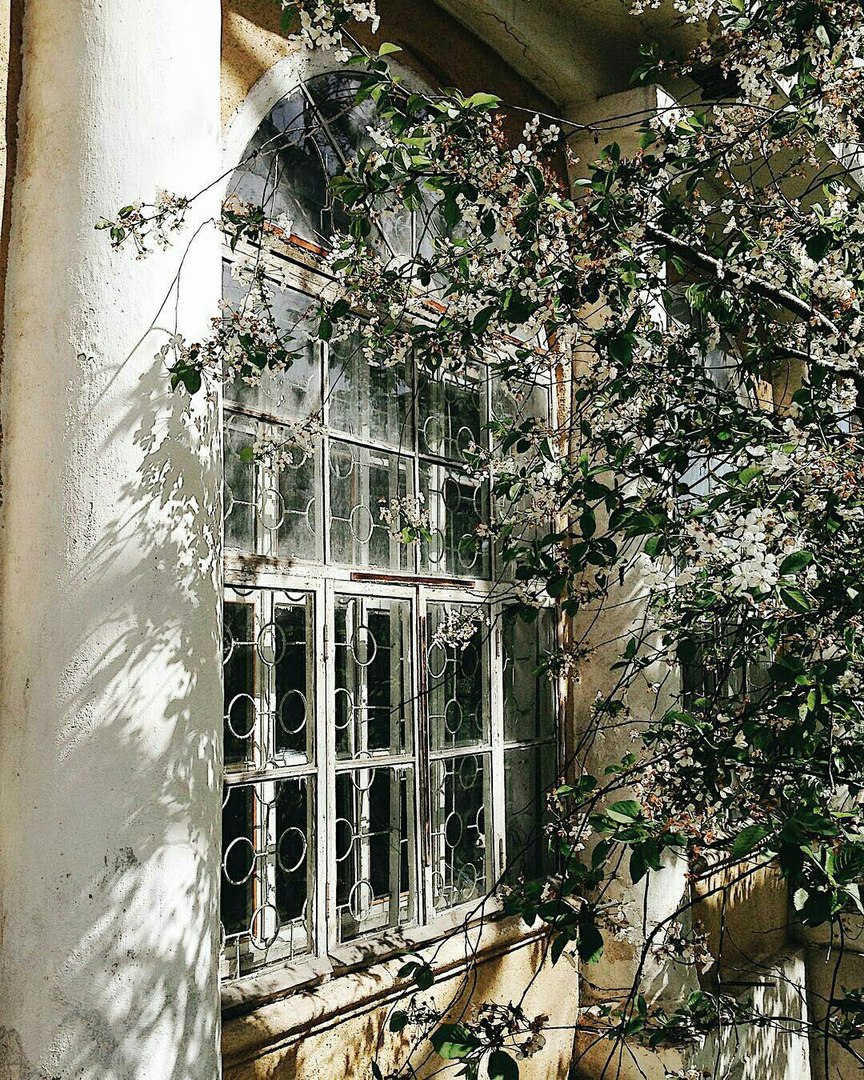 Одесса, Украина - 7