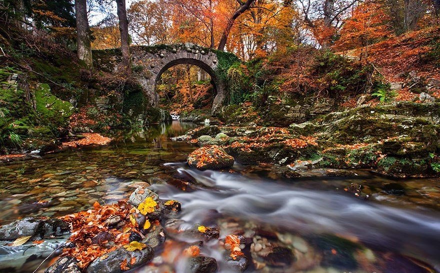 Сказочно красивые мосты из реальной жизни