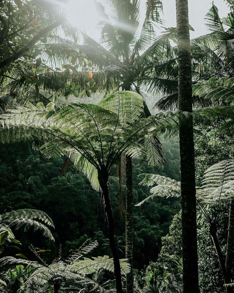 Бали — это рай на земле! - 6