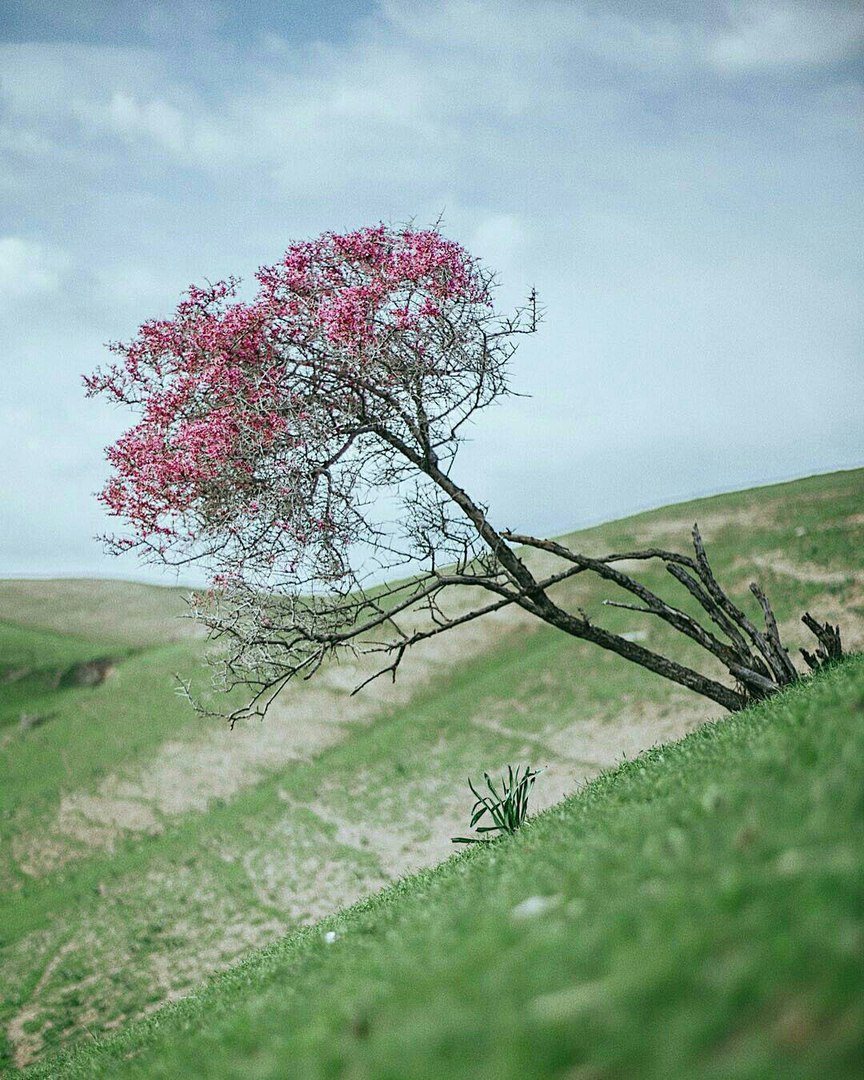 Узбекистан - 8