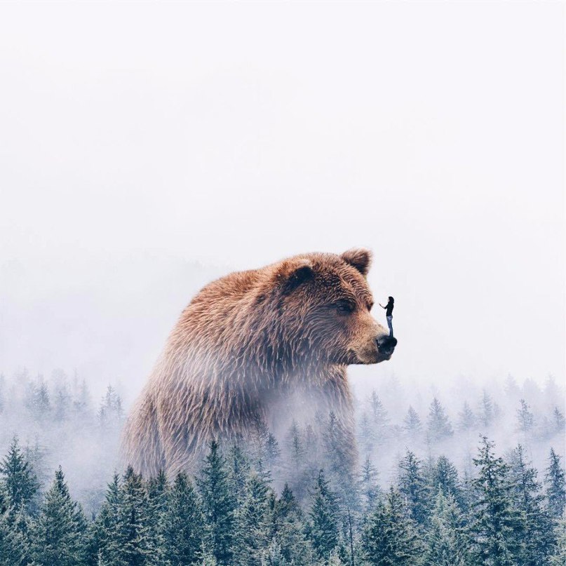 Photo magic: удивительные фотоколлажи от Luisa Azevedo - 5