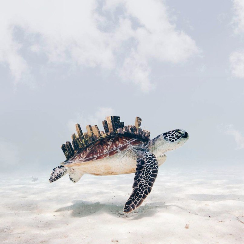 Photo magic: удивительные фотоколлажи от Luisa Azevedo - 8