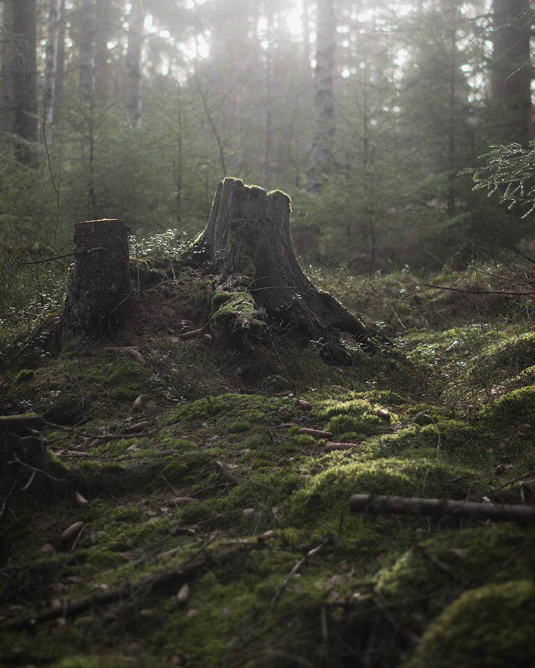 Dalsland, Sweden - 9