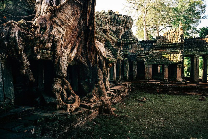 Abandoned Temples of Cambodia - 6