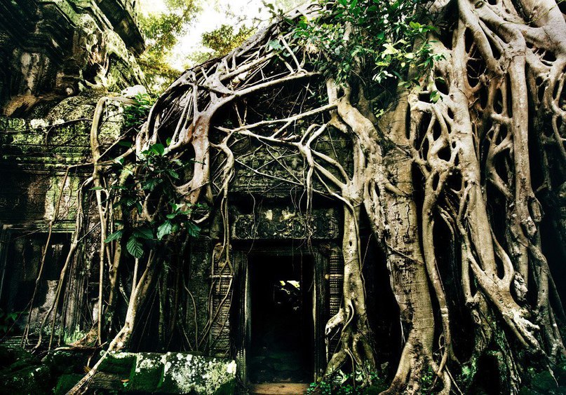 Abandoned Temples of Cambodia - 8