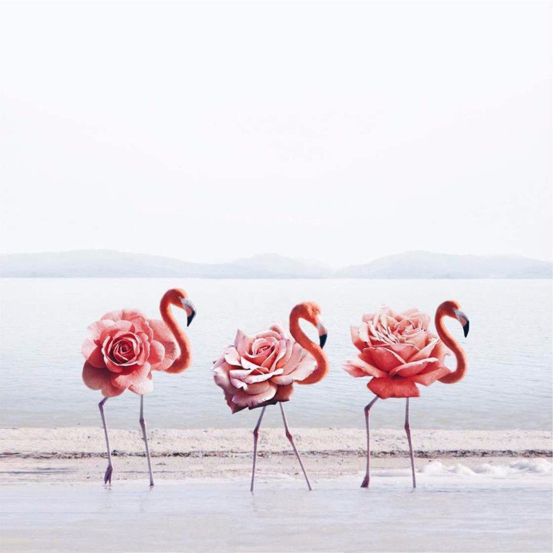 Photo magic: удивительные фотоколлажи от Luisa Azevedo